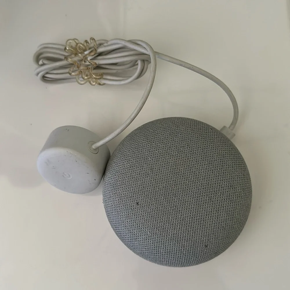Google Nest Mini